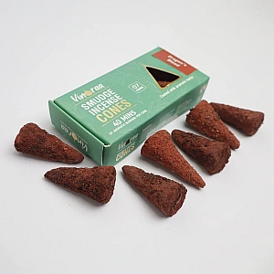 Dragon Smudge Incense Cones